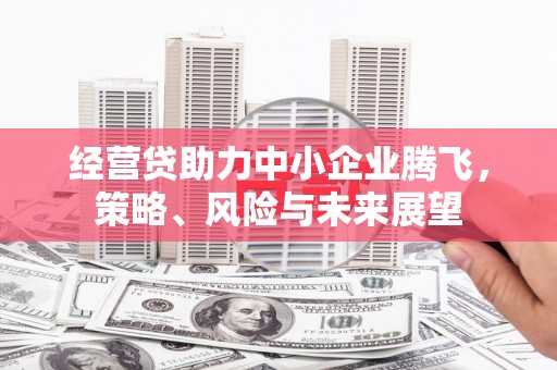 友谊经营贷助力中小企业腾飞，策略、风险与未来展望