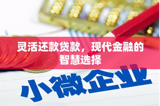 友谊灵活还款贷款，现代金融的智慧选择