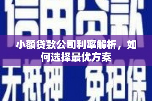 友谊小额贷款公司利率解析，如何选择最优方案