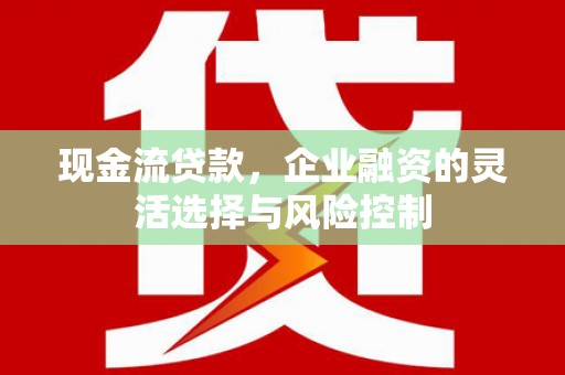 友谊现金流贷款，企业融资的灵活选择与风险控制