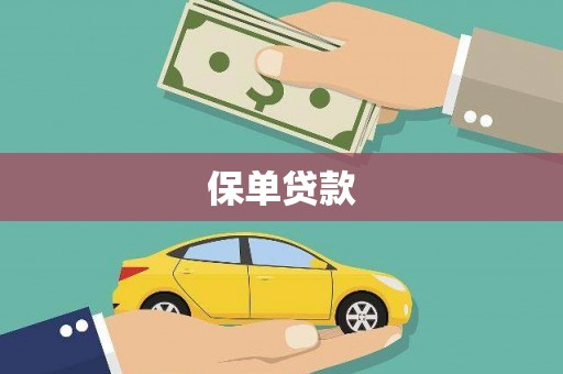 友谊保单贷款