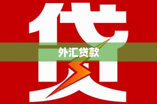 友谊外汇贷款