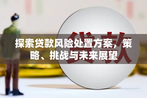 友谊探索贷款风险处置方案，策略、挑战与未来展望