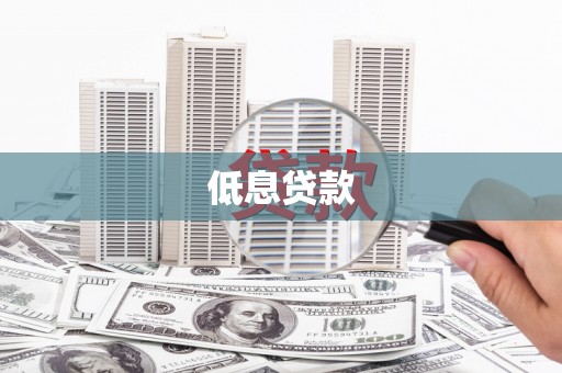 友谊低息贷款