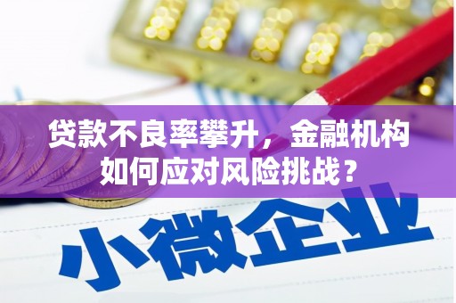 友谊贷款不良率攀升，金融机构如何应对风险挑战？