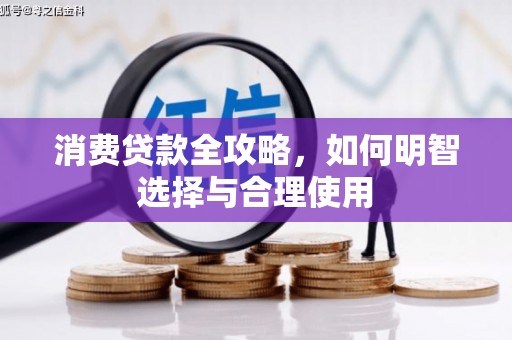友谊消费贷款全攻略，如何明智选择与合理使用