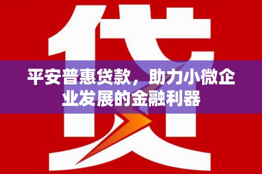 友谊平安普惠贷款，助力小微企业发展的金融利器