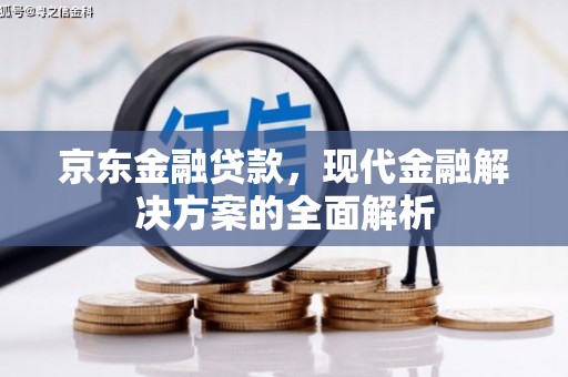 友谊京东金融贷款，现代金融解决方案的全面解析