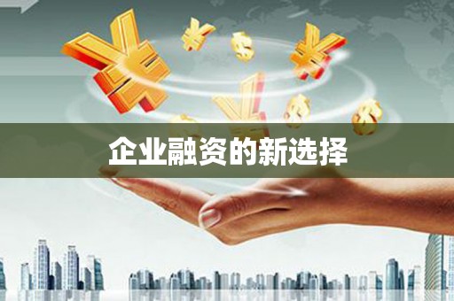 友谊企业融资的新选择