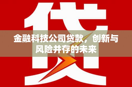 友谊金融科技公司贷款，创新与风险并存的未来