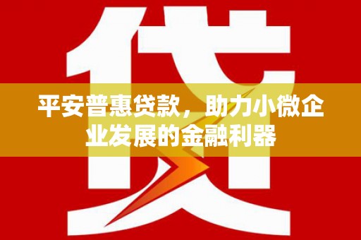 友谊平安普惠贷款，助力小微企业发展的金融利器