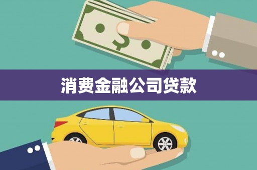 友谊消费金融公司贷款