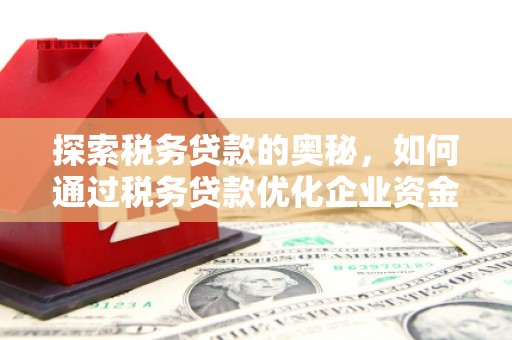 友谊探索税务贷款的奥秘，如何通过税务贷款优化企业资金流