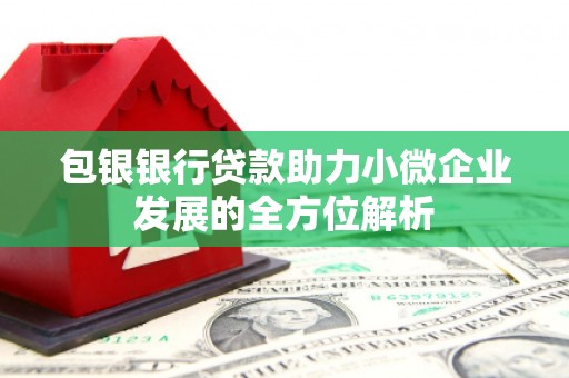 友谊包银银行贷款助力小微企业发展的全方位解析