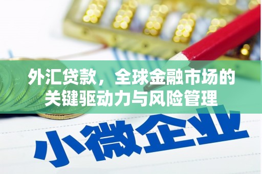 友谊外汇贷款，全球金融市场的关键驱动力与风险管理