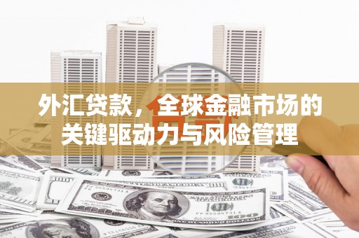友谊外汇贷款，全球金融市场的关键驱动力与风险管理