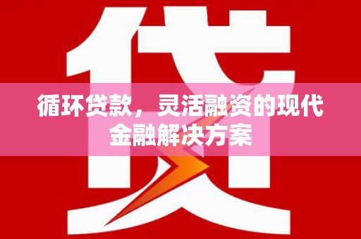 友谊循环贷款，灵活融资的现代金融解决方案
