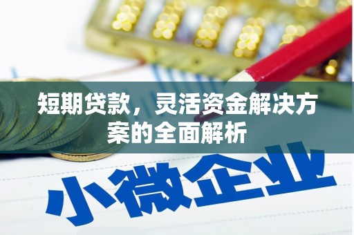 友谊短期贷款，灵活资金解决方案的全面解析