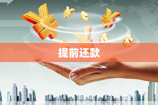 友谊提前还款