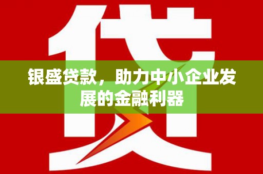 友谊银盛贷款，助力中小企业发展的金融利器