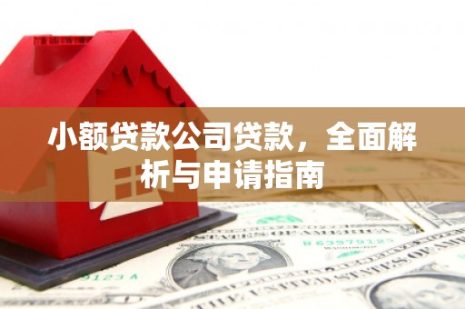 友谊小额贷款公司贷款，全面解析与申请指南