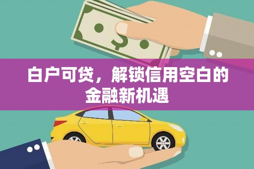 友谊白户可贷，解锁信用空白的金融新机遇