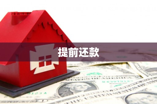 友谊提前还款