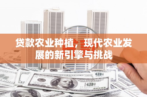 友谊贷款农业种植，现代农业发展的新引擎与挑战