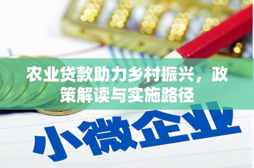 友谊农业贷款助力乡村振兴，政策解读与实施路径