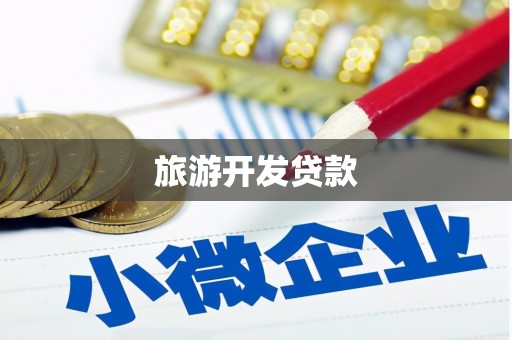 友谊旅游开发贷款