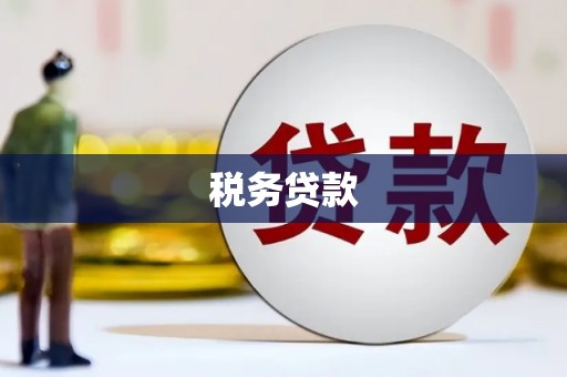 友谊税务贷款