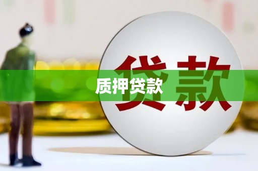 友谊质押贷款