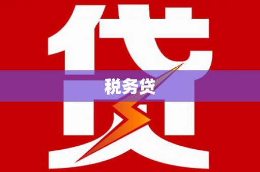 友谊税务贷