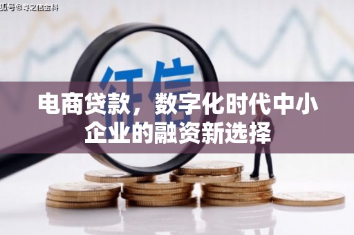 友谊电商贷款，数字化时代中小企业的融资新选择