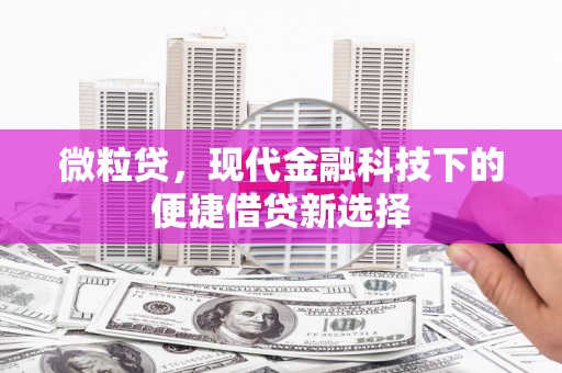 友谊微粒贷，现代金融科技下的便捷借贷新选择