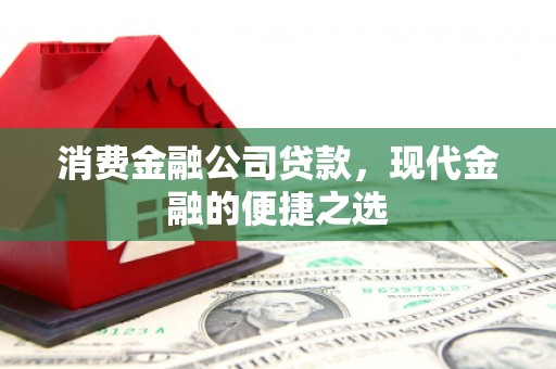友谊消费金融公司贷款，现代金融的便捷之选