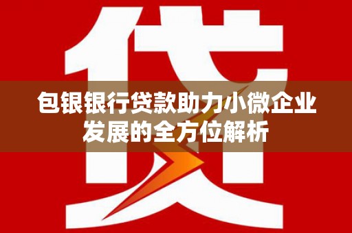 友谊包银银行贷款助力小微企业发展的全方位解析