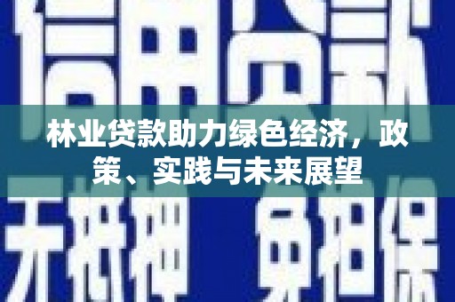 友谊林业贷款助力绿色经济，政策、实践与未来展望