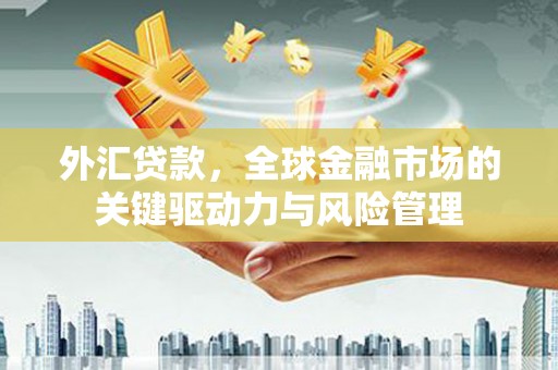 友谊外汇贷款，全球金融市场的关键驱动力与风险管理