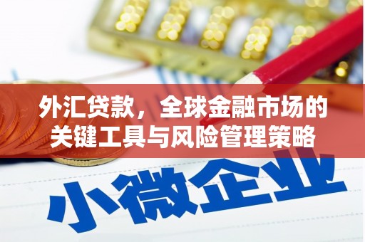 友谊外汇贷款，全球金融市场的关键工具与风险管理策略