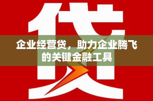 友谊企业经营贷，助力企业腾飞的关键金融工具