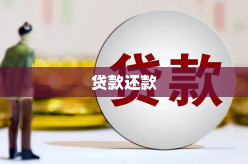 友谊贷款还款