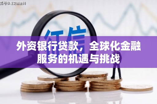 友谊外资银行贷款，全球化金融服务的机遇与挑战