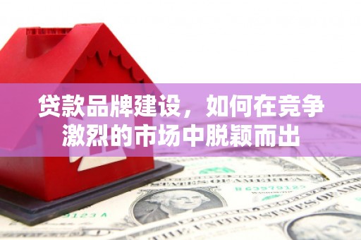 友谊贷款品牌建设，如何在竞争激烈的市场中脱颖而出