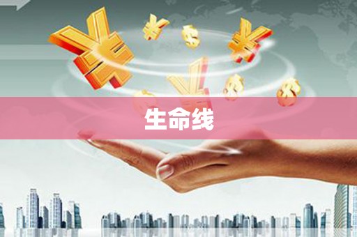 友谊生命线