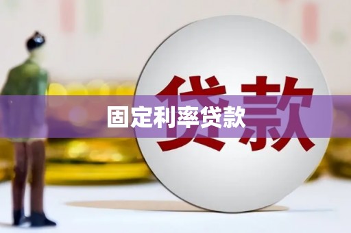 友谊固定利率贷款