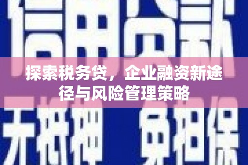 友谊探索税务贷，企业融资新途径与风险管理策略