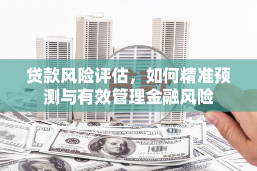 友谊贷款风险评估，如何精准预测与有效管理金融风险