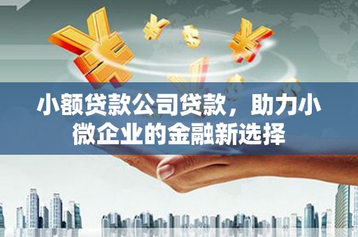 友谊小额贷款公司贷款，助力小微企业的金融新选择