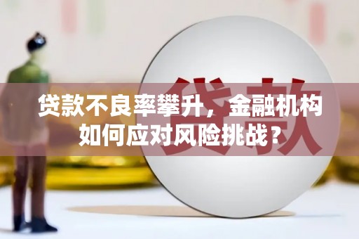 友谊贷款不良率攀升，金融机构如何应对风险挑战？